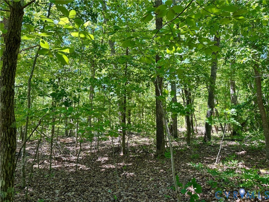 Property photo for Lot 6 Buffalo Church Rd., Pamplin, VA