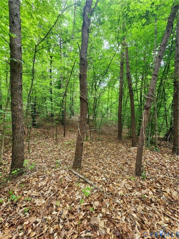 0 Bryants Ford Road, Bryants Ford, Fork Union, VA 23055