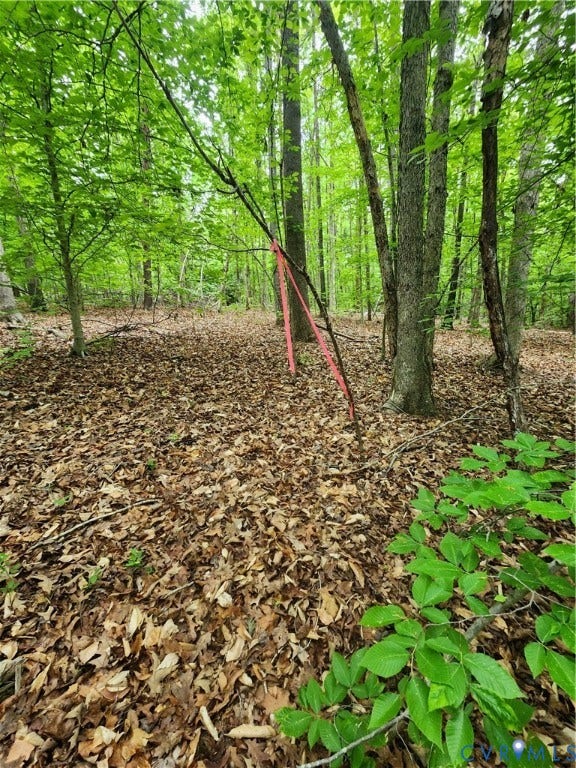 This is one of the drainfield corners.