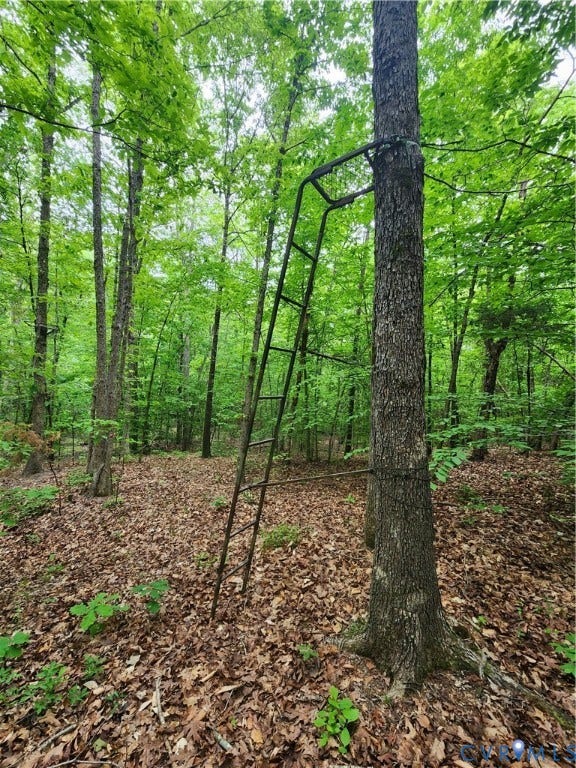 Good game sign can be found throughout the property.