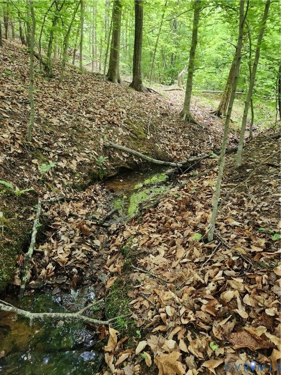 The intermittent stream is a great place to find wildlife.