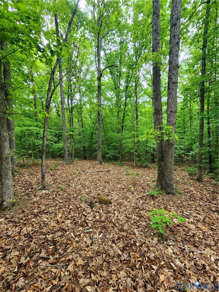 Hilltop view from the proposed homesite location.