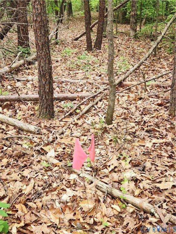 Indicates the proposed house corner.  You can pick where you want to put the home.