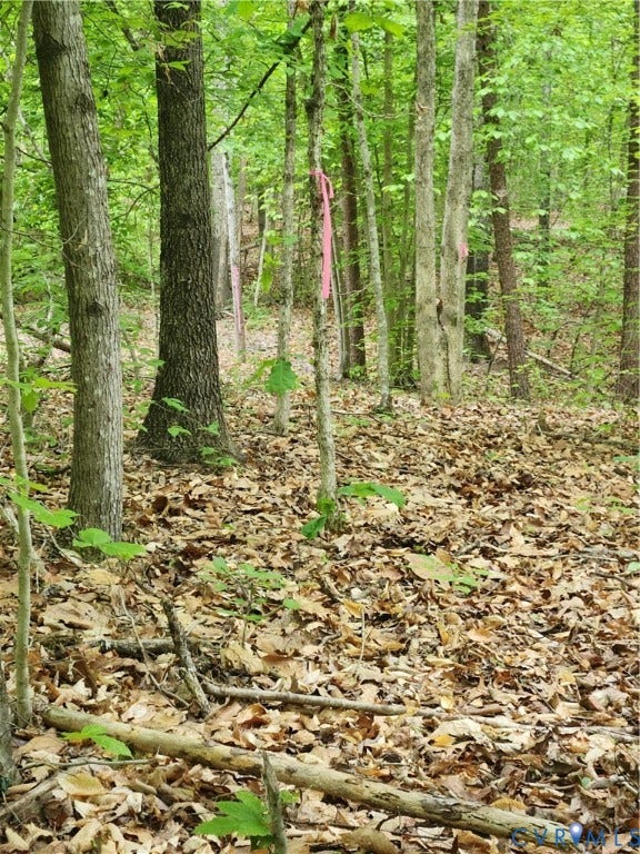 Follow the pink ribbon line to the proposed homesite and perk location.