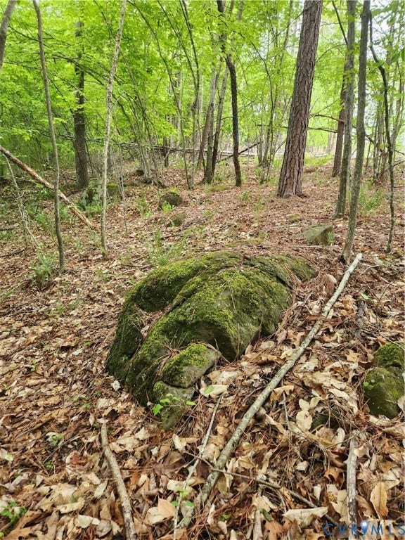 76 South Fork Ridge, Hickory Hollow, Fork Union, VA 23022 One of several rock outcroppings.