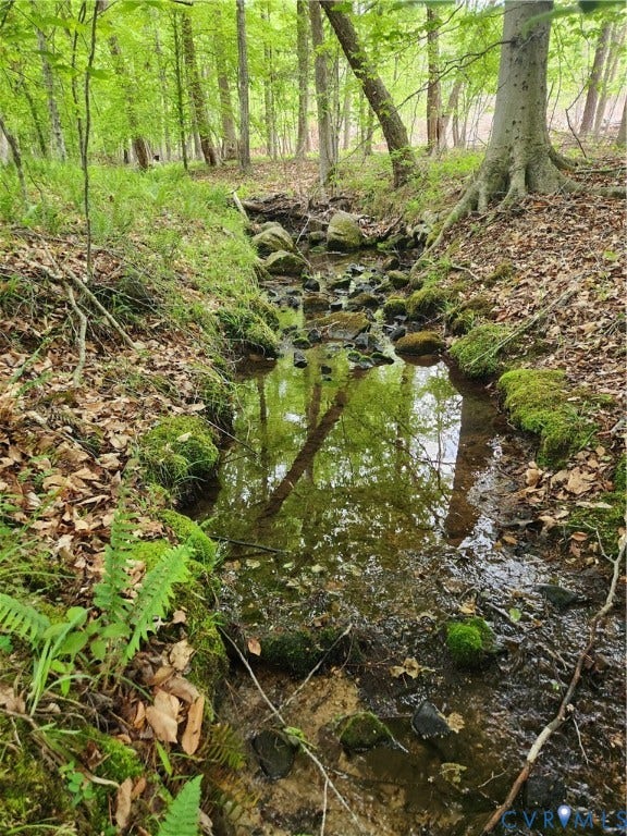 76 South Fork Ridge, Hickory Hollow, Fork Union, VA 23022 Bold stream crossing the back 1/3 of the land.