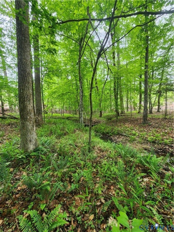 76 South Fork Ridge, Hickory Hollow, Fork Union, VA 23022 Beautiful creek bottom.