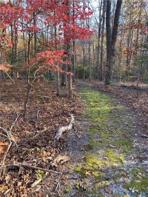 3172 Three Bridge Road, Powhatan, Powhatan, VA 23139 3172 Three Bridge Road, Powhatan, Powhatan, VA 23139