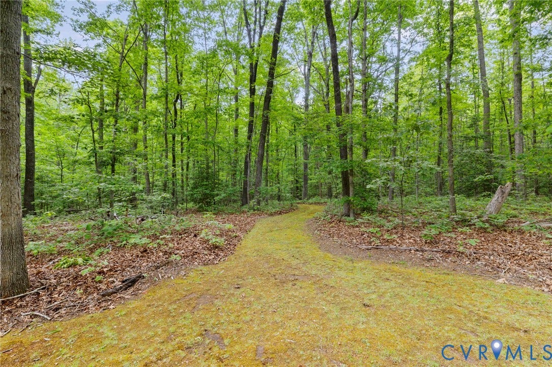3172 Three Bridge Road, Powhatan, Powhatan, VA 23139 12.83 acres of serene wooded seclusion with walking/hiking trails and mature trees.
