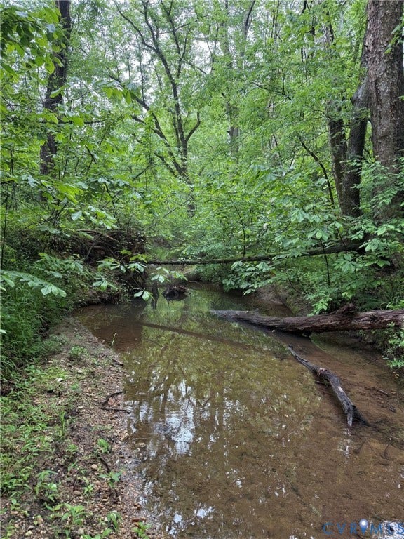 1887 Sheppard Town Road, Crozier, VA 23039 Creek near the Southern Edge of Property