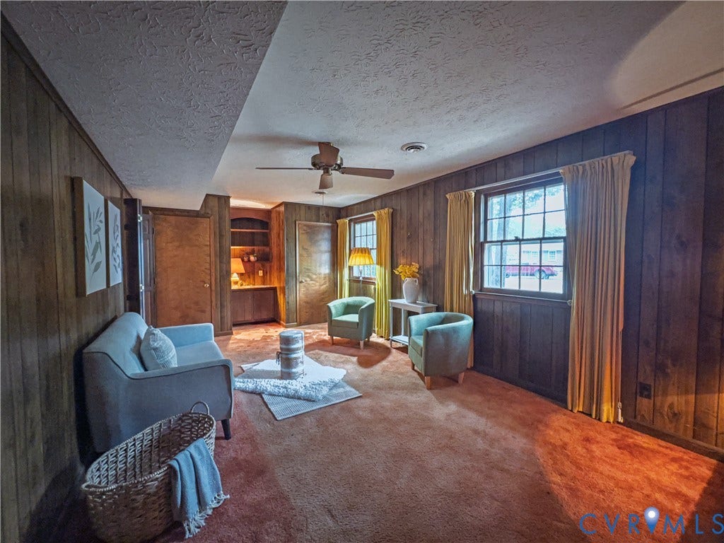 Lower level living area