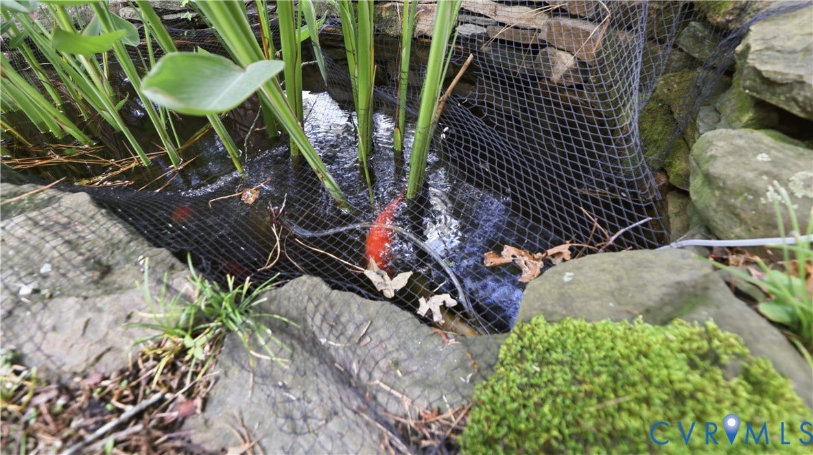 12400 Chadsworth Place, Wyndham, Glen Allen, VA 23059 Koi Pond w/Water feature with natural stone surround and integrated aquatic plants