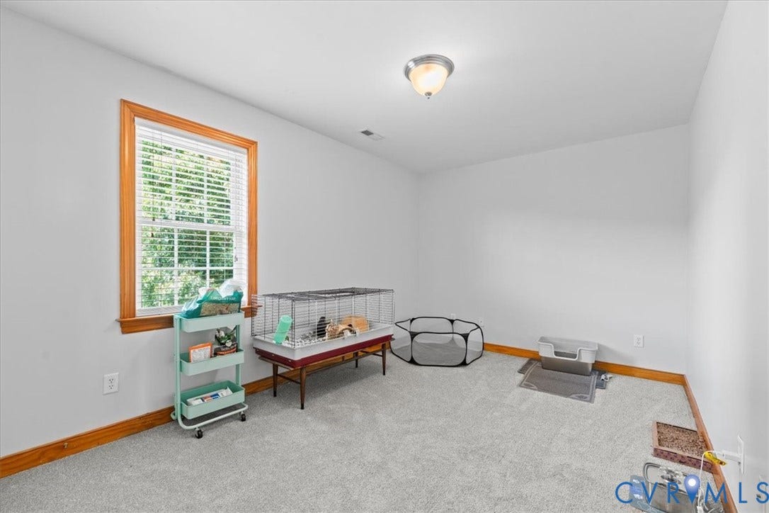 En-suite Walk-in closet featuring built-in wood shelving, multiple hanging rods, and carpet flooring