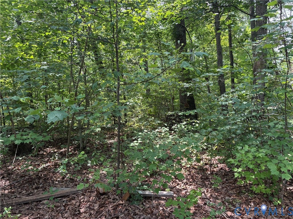 2797 Oakland Road, Louisa, VA 23093 2797 Oakland Road, Louisa, VA 23093