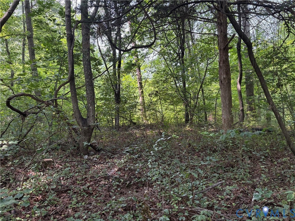 2797 Oakland Road, Louisa, VA 23093 2797 Oakland Road, Louisa, VA 23093