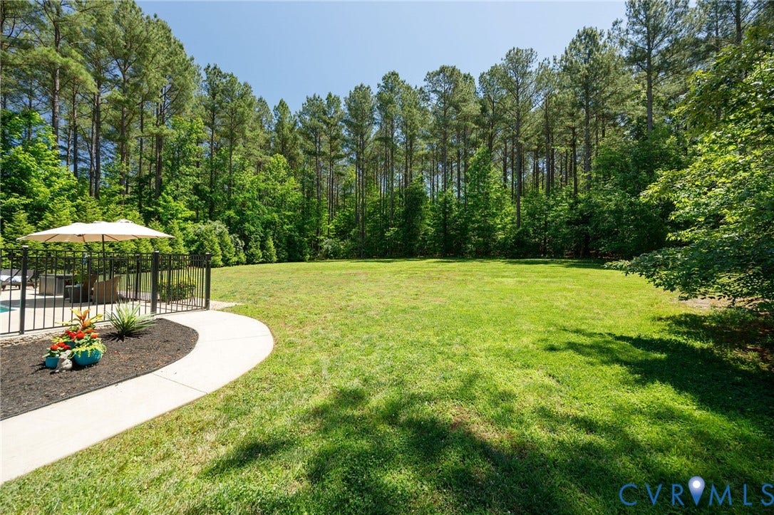 11451 Black Road, Winterpock, Chesterfield, VA 23838 Rear lawn