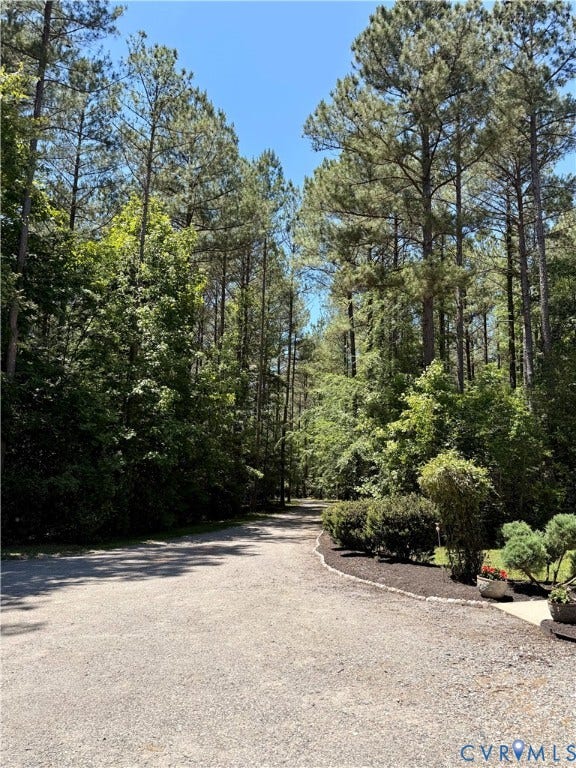 11451 Black Road, Winterpock, Chesterfield, VA 23838 Top of the driveway