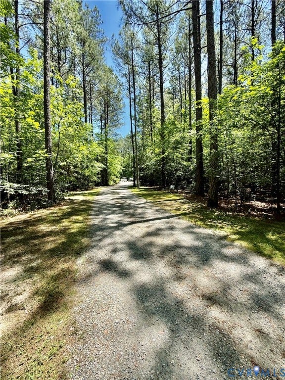 11451 Black Road, Winterpock, Chesterfield, VA 23838 Long drive way leading to the home