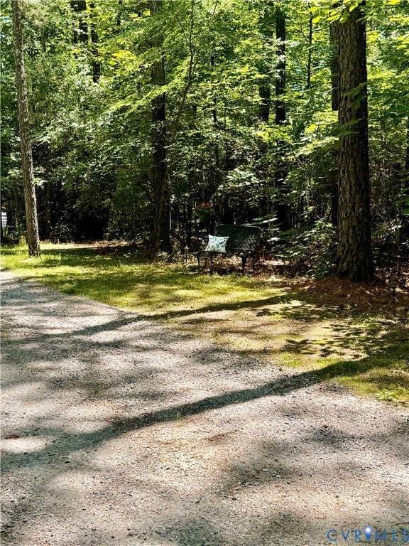 11451 Black Road, Winterpock, Chesterfield, VA 23838 Long driveway