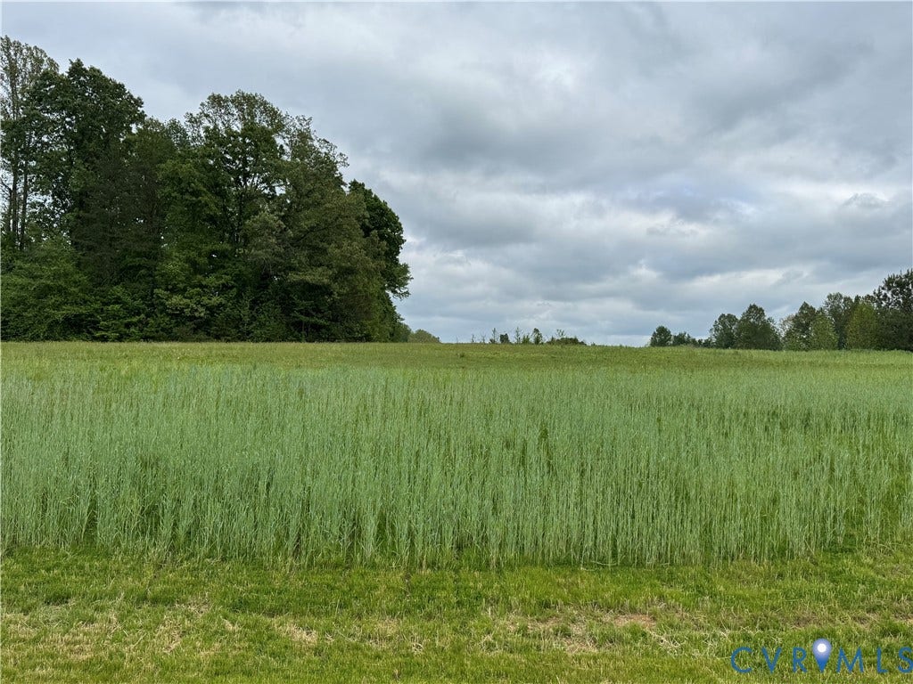Lot 8 Ethanna Trail, Ethanna Trail, Mineral, VA 23117 Lot 8 Ethanna Trail, Ethanna Trail, Mineral, VA 23117