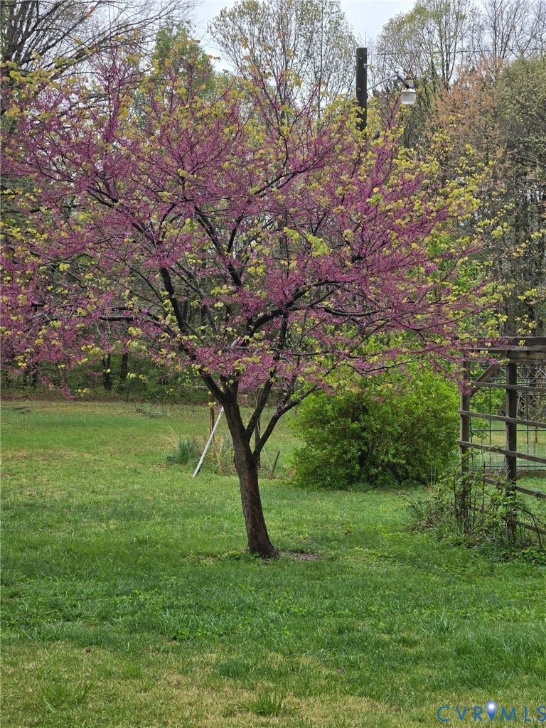3607 Pacetown Road, Goochland, VA 23153 3607 Pacetown Road, Goochland, VA 23153