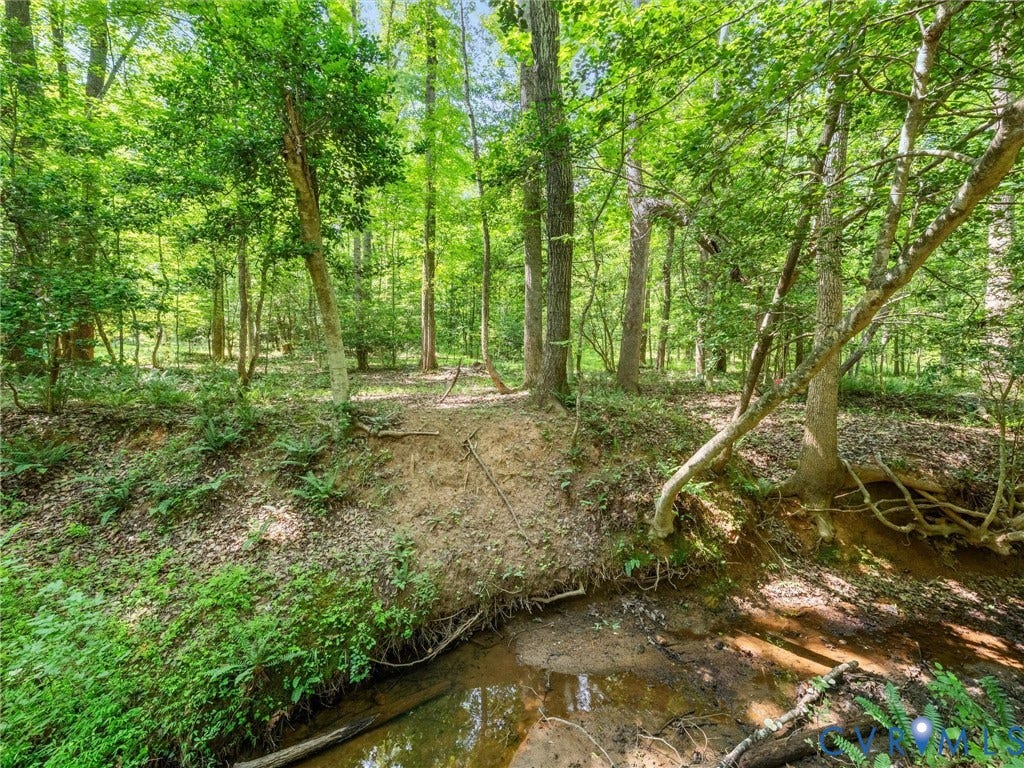 3613 Archers Ridge, Powhatan, VA 23139 3613 Archers Ridge, Powhatan, VA 23139