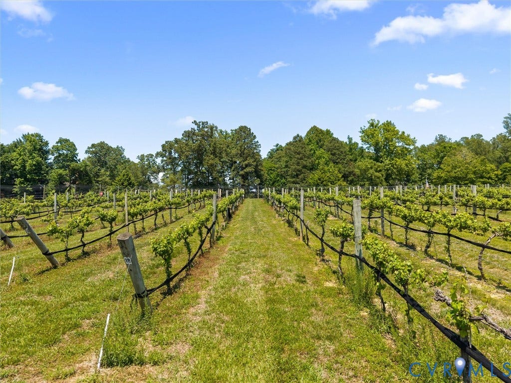 8587 Barrique Road, The Estates At Viniterra, New Kent, VA 23124 8587 Barrique Road, The Estates At Viniterra, New Kent, VA 23124
