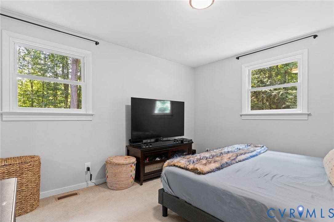 2448 Mountain View Road, Powhatan, VA 23139 Primary bedroom with carpet and plenty of windows for natural light