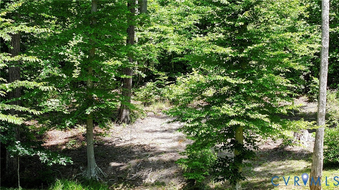 4528 E Old Mountain Road, Louisa, VA 23093