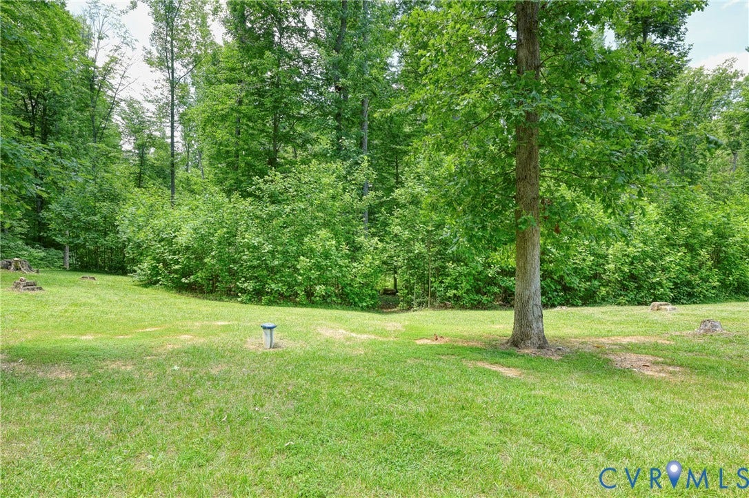 4528 E Old Mountain Road, Louisa, VA 23093
