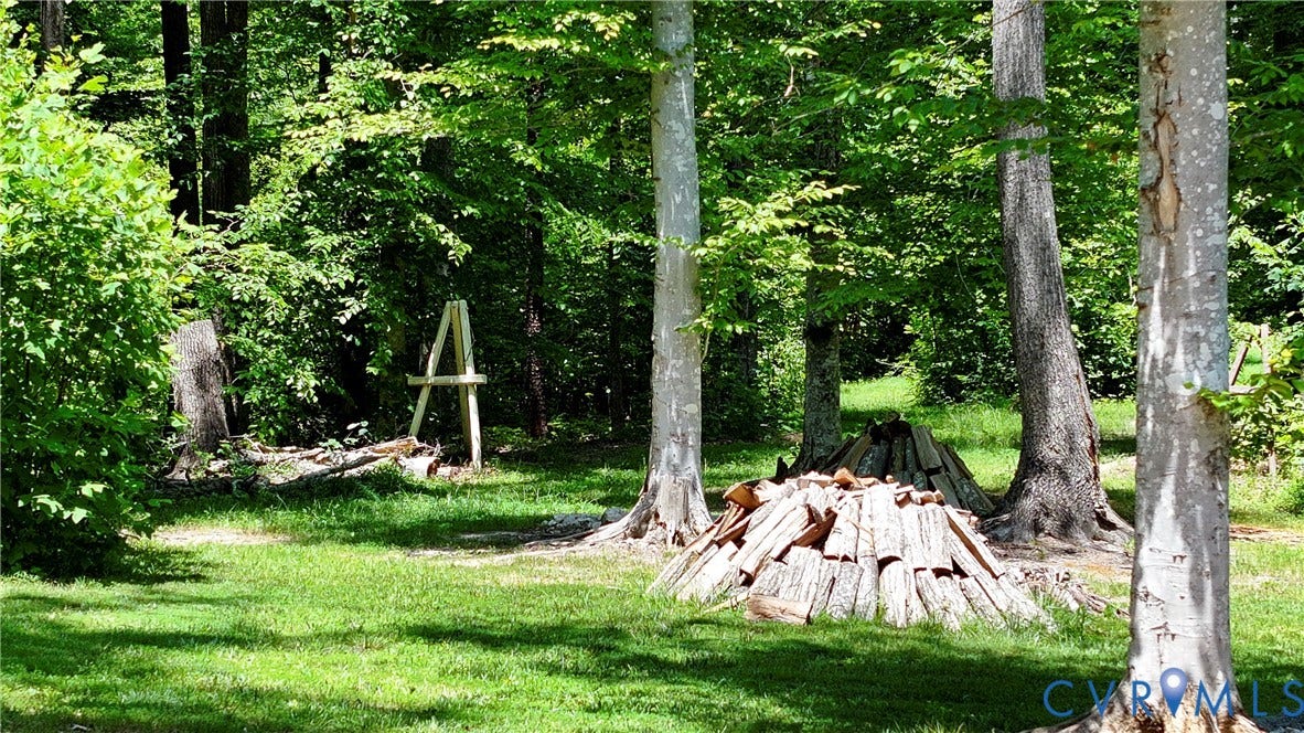 4528 E Old Mountain Road, Louisa, VA 23093
