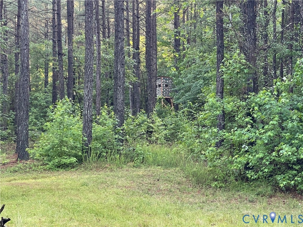 XX Reed Rock Road, Amelia, VA 23002