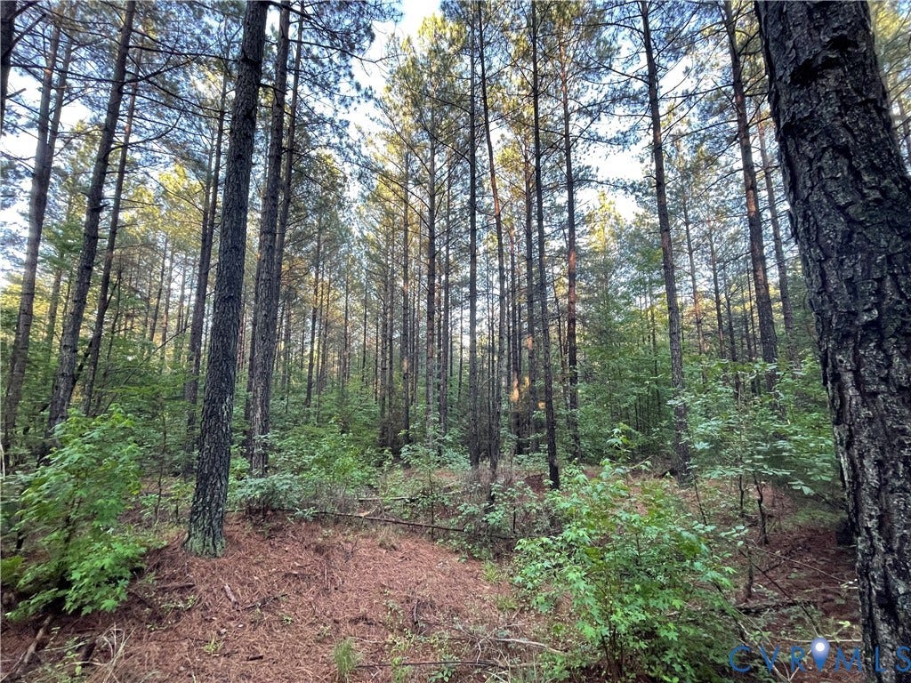 XX Reed Rock Road, Amelia, VA 23002