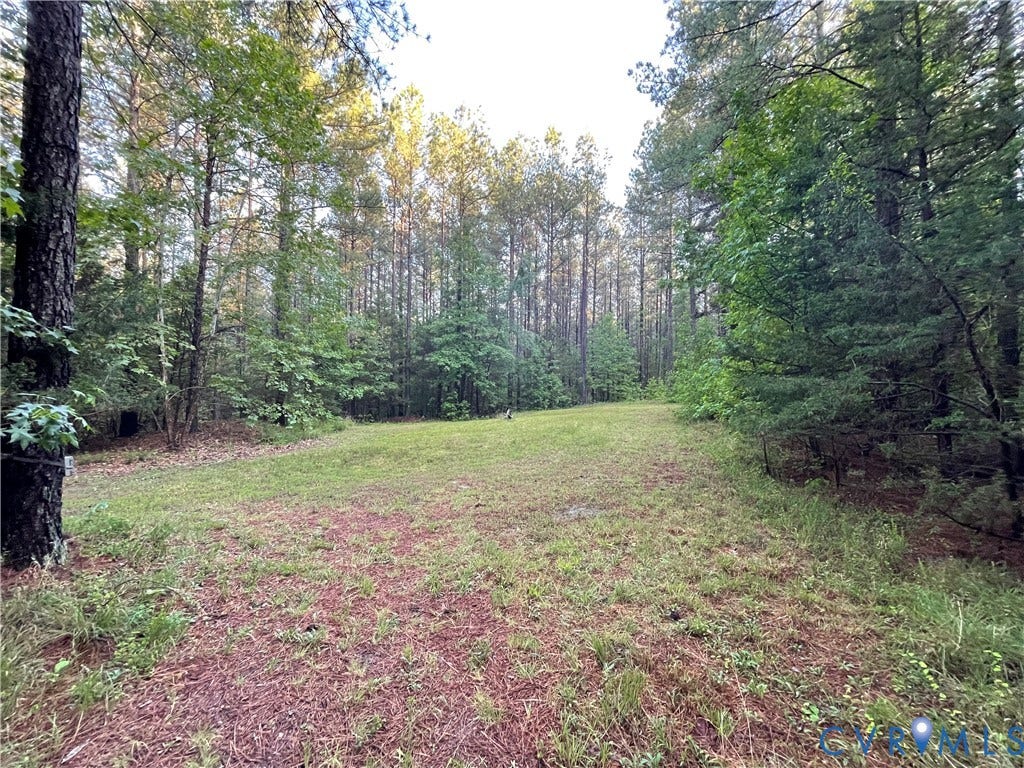 XX Reed Rock Road, Amelia, VA 23002