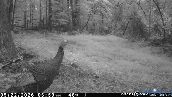 0 Davis Mill Road, Byrd District, Goochland, VA 23063 Trail camera