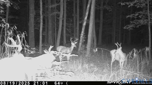 0 Davis Mill Road, Byrd District, Goochland, VA 23063 Trail camera