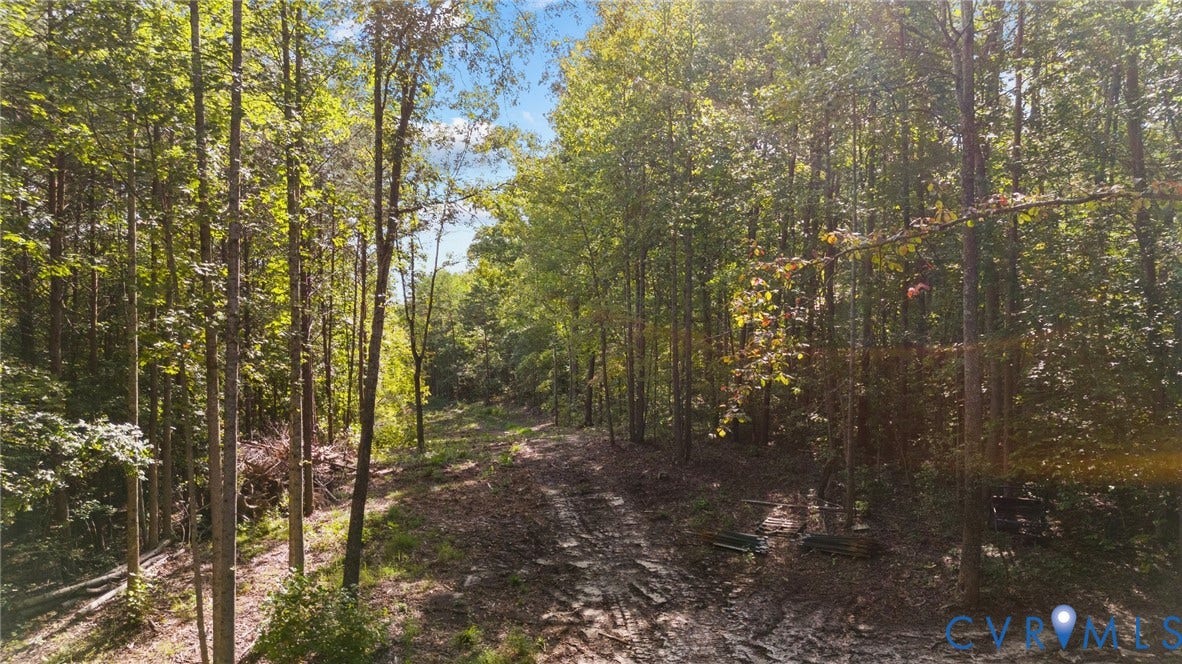 0 Davis Mill Road, Byrd District, Goochland, VA 23063 0 Davis Mill Road, Byrd District, Goochland, VA 23063