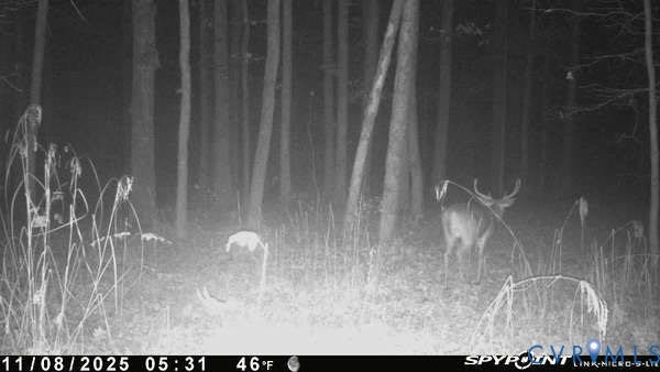 0 Davis Mill Road, Byrd District, Goochland, VA 23063 Trail camera