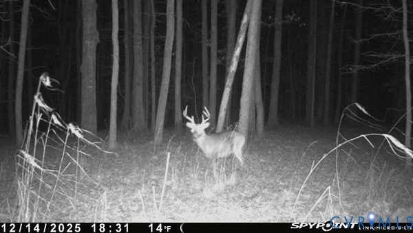 0 Davis Mill Road, Byrd District, Goochland, VA 23063 Trail camera