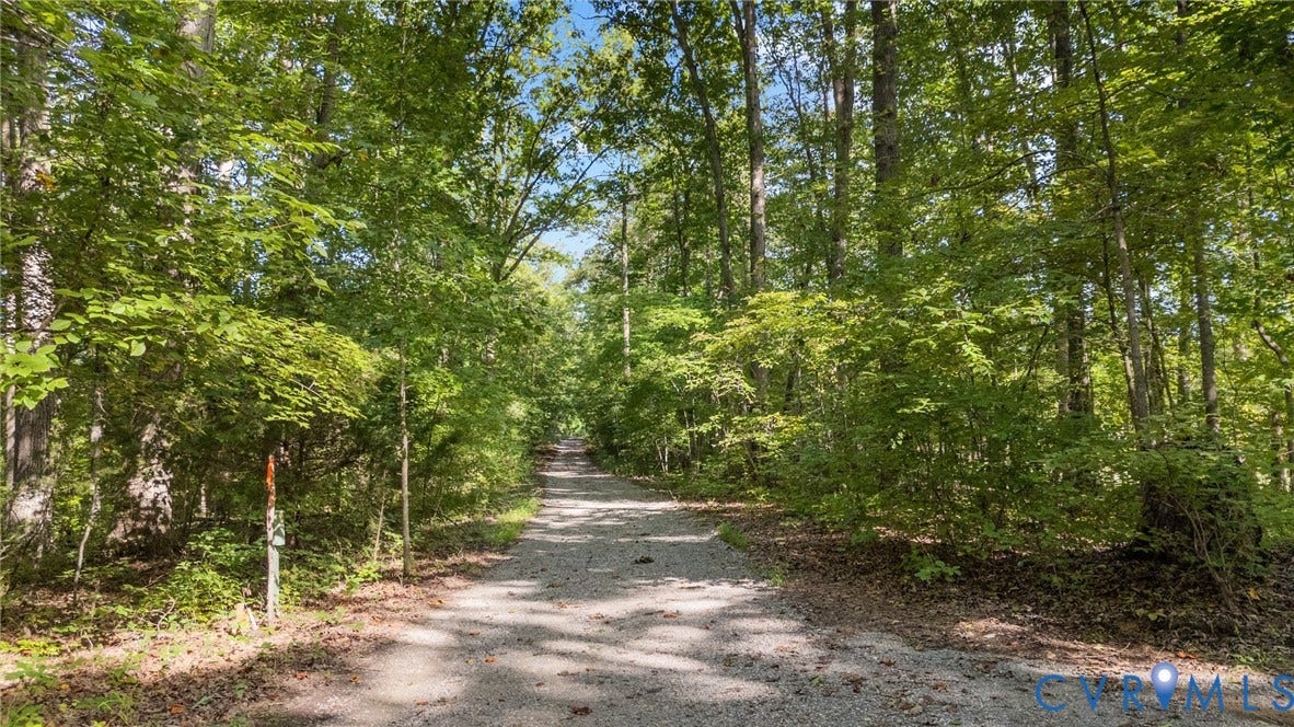 0 Davis Mill Road, Byrd District, Goochland, VA 23063 Shared driveway with easement.