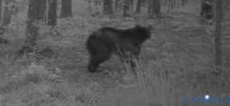 0 Davis Mill Road, Byrd District, Goochland, VA 23063 Trail camera
