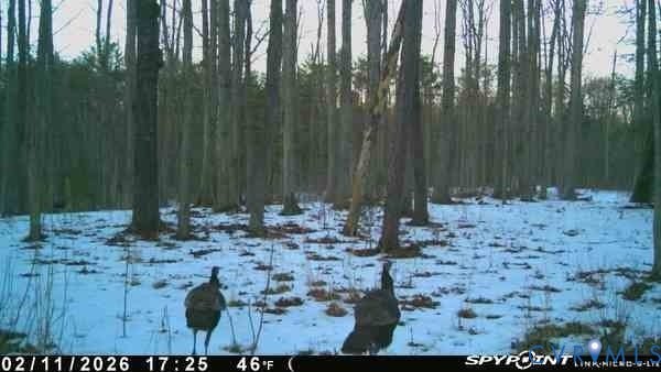 0 Davis Mill Road, Byrd District, Goochland, VA 23063 Trail camera