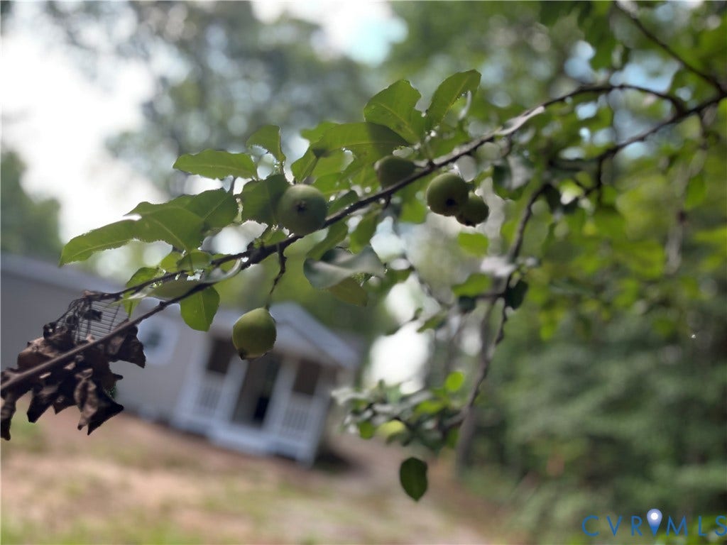 3301 Kingsland Road, Bermuda, Chesterfield, VA 23237