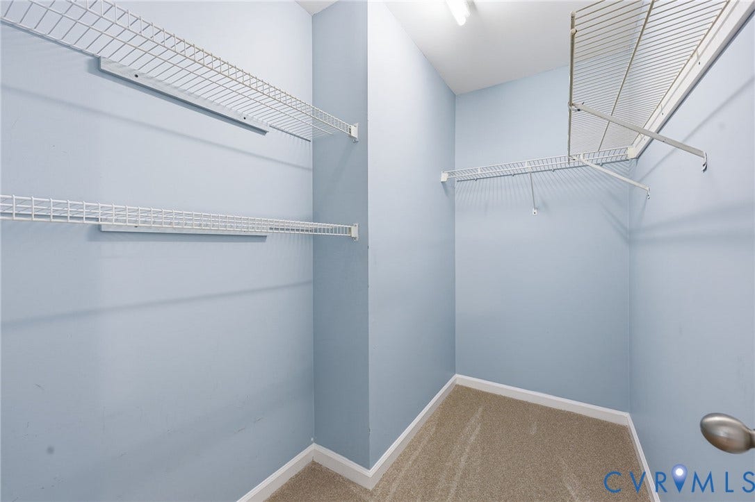 Walk-in closet featuring wire shelving, wall-mounted hanging rods, light blue wall color, white baseboards, and carpet flooring