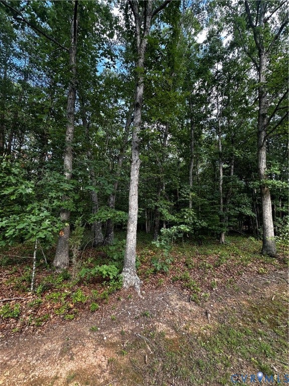 Lot 148 Pinehurst Drive, Gordonsville, VA 22942 Lot 148 Pinehurst Drive, Gordonsville, VA 22942