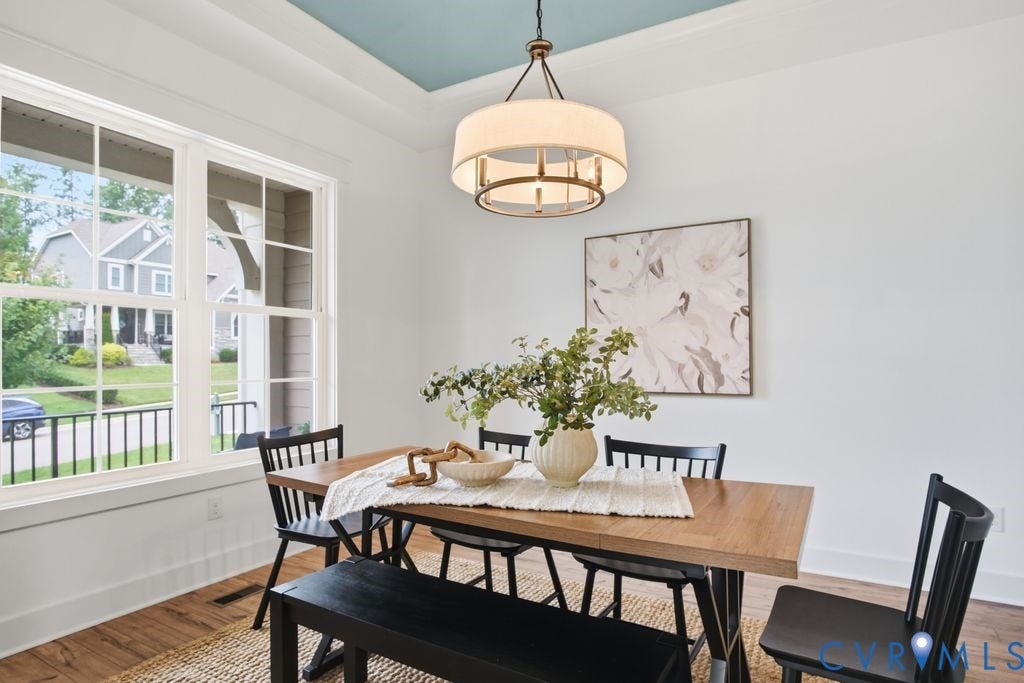 6991 Carden Park Drive, Carden Park, Moseley, VA 23120 Tray ceiling with a light blue finish, complemented by a drum pendant light fixture