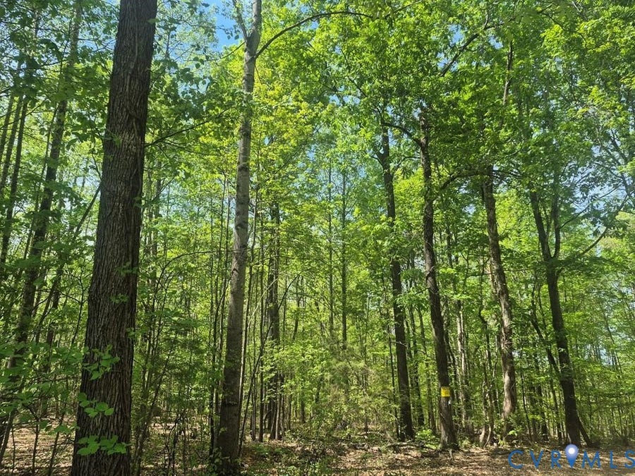 Property photo for 00 Deer Run, Cumberland, VA