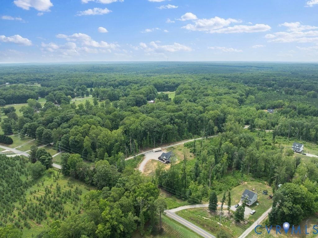 3259 Three Bridge Road, Powhatan, VA 23139 Expansive wooded landscape with scattered clearings