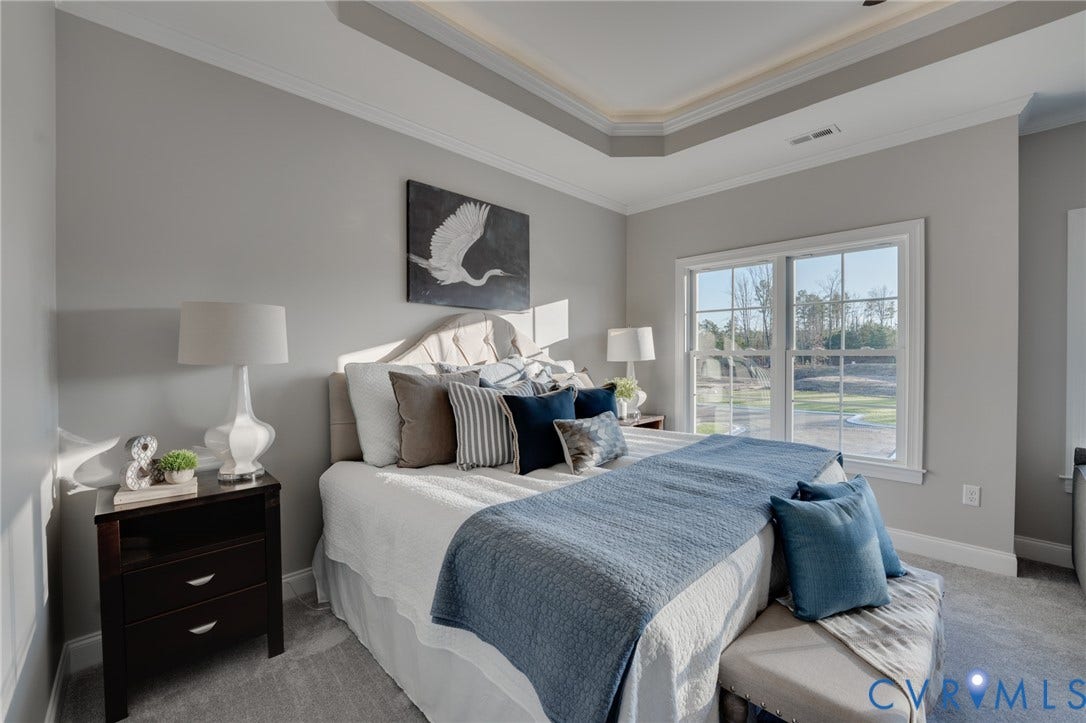 6408 Sanford Springs Cove, Midlothian, VA 23112 Bedroom featuring a tray ceiling with crown molding, light gray wall finishes, a large window with white trim, and gray carpet flooring