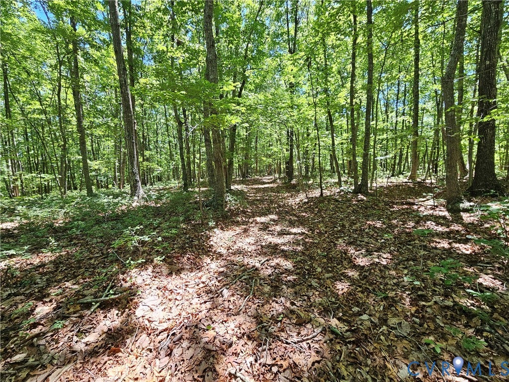15 Ac Manteo Road, Buckingham, VA 23921 15 Ac Manteo Road, Buckingham, VA 23921